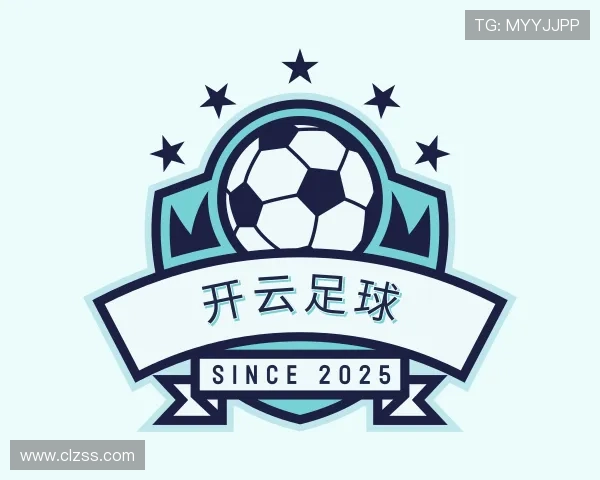 介绍开云足球app